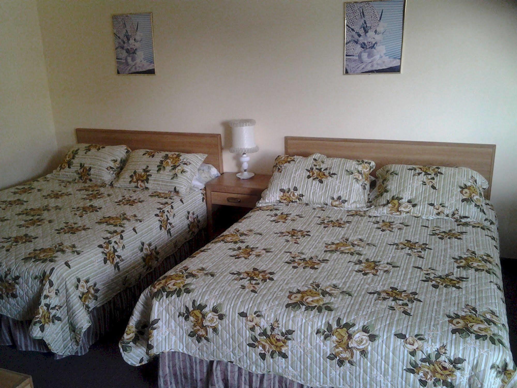 Alpine Motel In Heart Of Wisconsin Dells Downtown. Exterior foto
